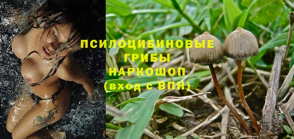 мяу мяу мука Дмитровск