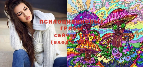 мяу мяу мука Дмитровск