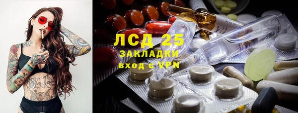 эйфоретик Гусев